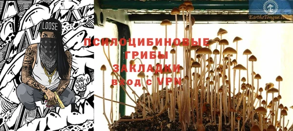 гидра Абинск