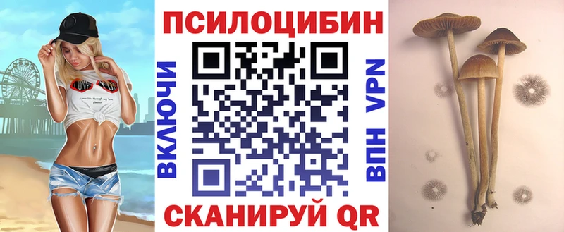 Галлюциногенные грибы GOLDEN TEACHER Сычёвка